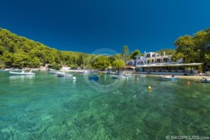 Skopelos Agnontas Beach Seaview Photo