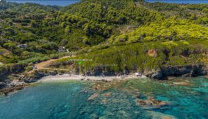 &Sigma;&kappa;ό&pi;&epsilon;&lambda;&omicron;&sigmaf; &Pi;&alpha;&rho;&alpha;&lambda;ί&alpha; &Chi;&omicron;&nu;&delta;&rho;&omicron;&gamma;&iota;ώ&rho;&gamma;&eta;&sigmaf;, &Pi;&alpha;&rho;&alpha;&lambda;ί&epsilon;&sigmaf;, &Chi;&omicron;&nu;&delta;&rho;&omicron;&gamma;&iota;ώ&rho;&gamma;&eta;&sigmaf; &Pi;&alpha;&rho;&alpha;&lambda;ί&alpha;, &Pi;&alpha;&rho;&alpha;&lambda;ί&epsilon;&sigmaf; &Nu;&alpha; &Alpha;&nu;&alpha;&kappa;&alpha;&lambda;ύ&psi;&epsilon;&tau;&epsilon;, &Beta;ό&rho;&epsilon;&iota;&epsilon;&sigmaf; &Sigma;&pi;&omicron;&rho;ά&delta;&epsilon;&sigmaf;, &Epsilon;&lambda;&lambda;ά&delta;&alpha;