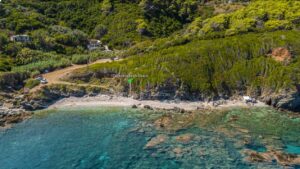 &Sigma;&kappa;ό&pi;&epsilon;&lambda;&omicron;&sigmaf; &Pi;&alpha;&rho;&alpha;&lambda;ί&alpha; &Chi;&omicron;&nu;&delta;&rho;&omicron;&gamma;&iota;ώ&rho;&gamma;&eta;&sigmaf;, &Pi;&alpha;&rho;&alpha;&lambda;ί&epsilon;&sigmaf;, &Chi;&omicron;&nu;&delta;&rho;&omicron;&gamma;&iota;ώ&rho;&gamma;&eta;&sigmaf; &Pi;&alpha;&rho;&alpha;&lambda;ί&alpha;, &Pi;&alpha;&rho;&alpha;&lambda;ί&epsilon;&sigmaf; &Nu;&alpha; &Alpha;&nu;&alpha;&kappa;&alpha;&lambda;ύ&psi;&epsilon;&tau;&epsilon;, &Beta;ό&rho;&epsilon;&iota;&epsilon;&sigmaf; &Sigma;&pi;&omicron;&rho;ά&delta;&epsilon;&sigmaf;, &Epsilon;&lambda;&lambda;ά&delta;&alpha;