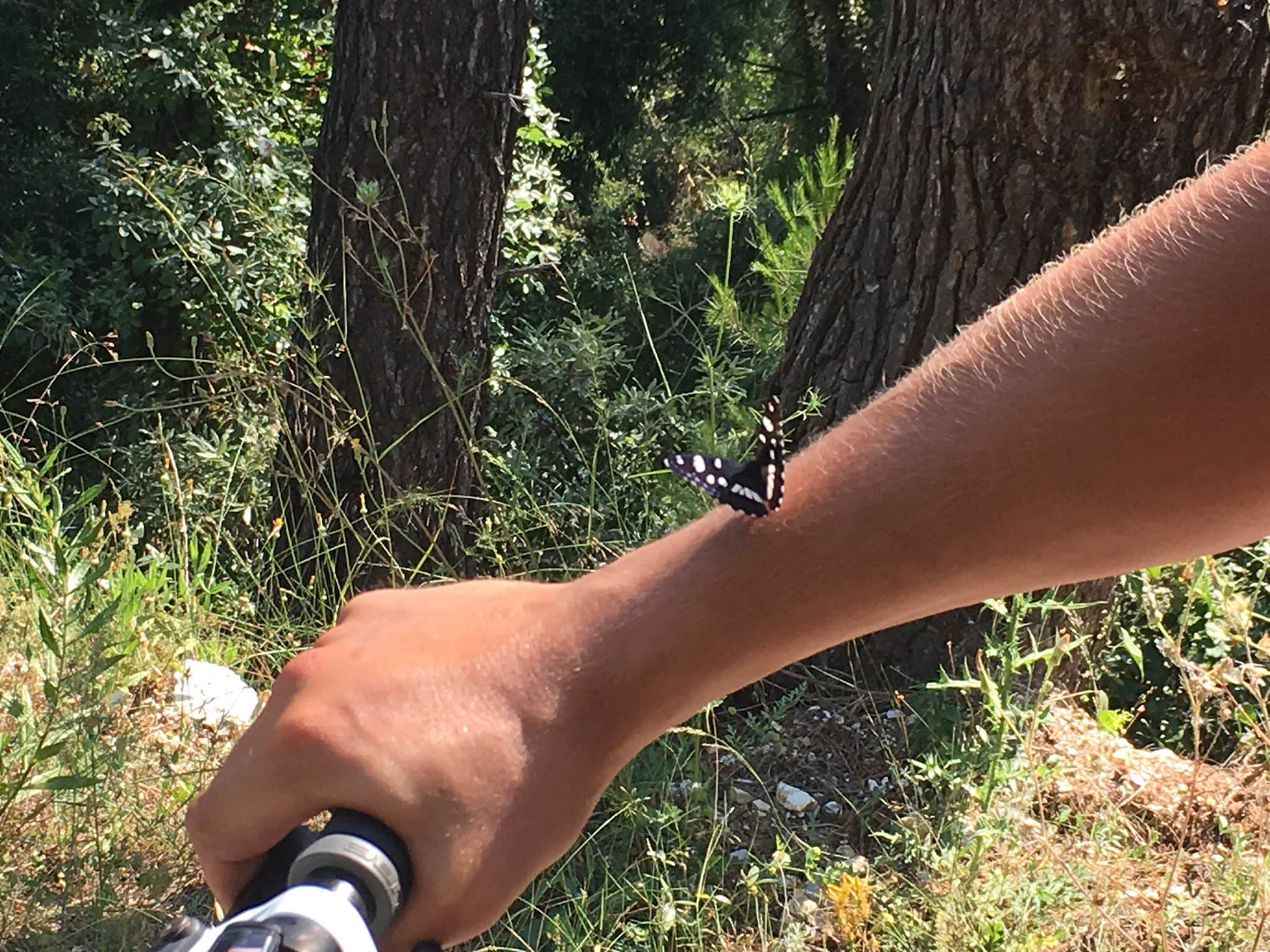 10 things every fitness loving visitor to Skopelos has to know about