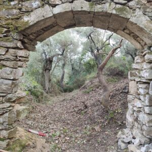 Skopelos Daily Exursions