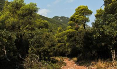 Trekking & Hiking