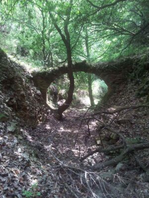 Skopelos Trekking Hiking