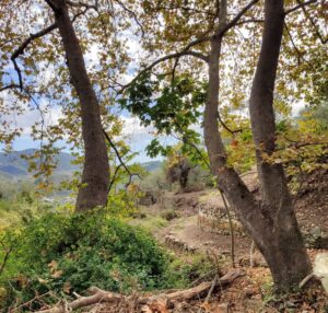 Skopelos Trekking Hiking