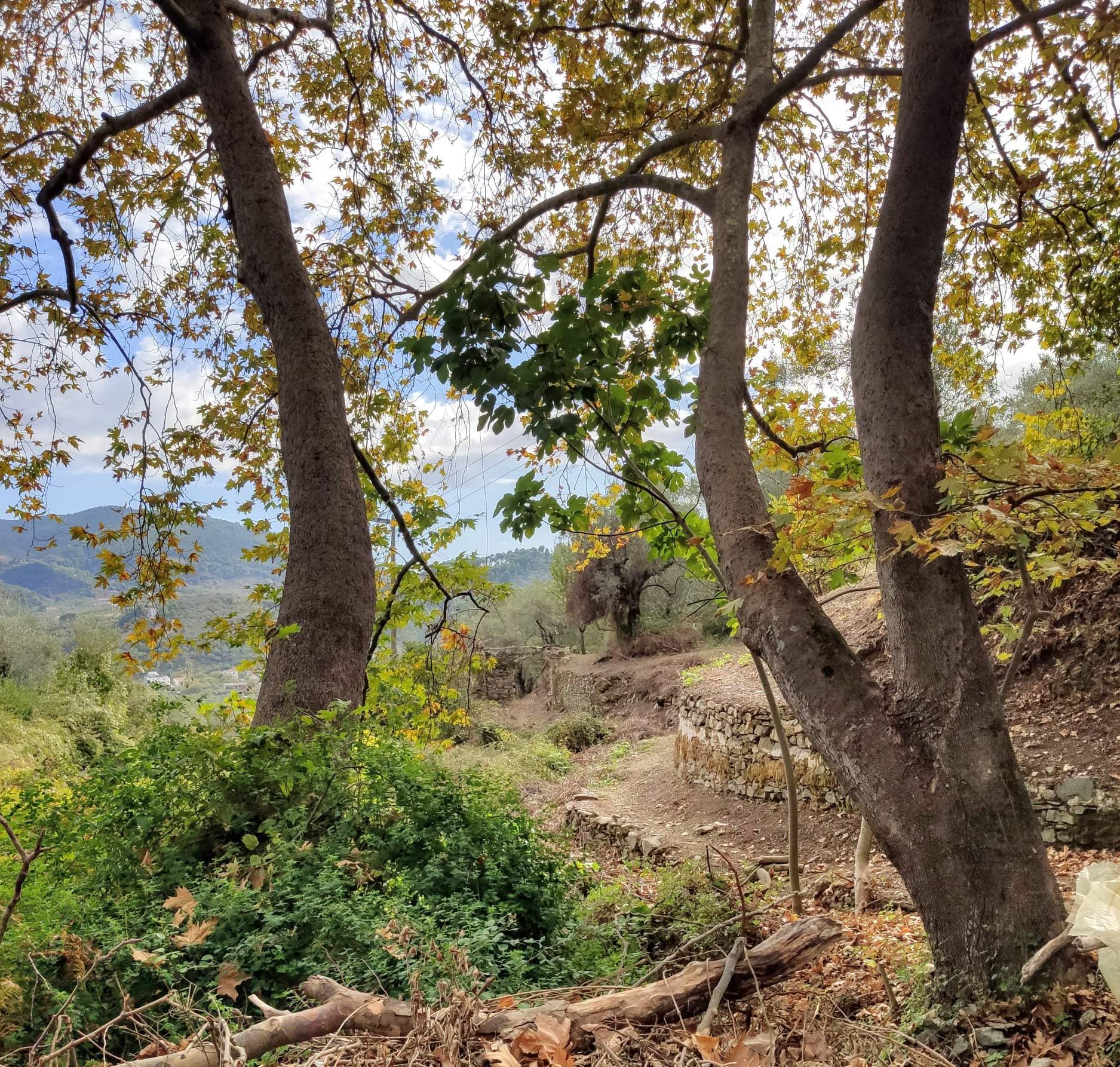 Skopelos trekking hiking Skopelos Trekking Hiking