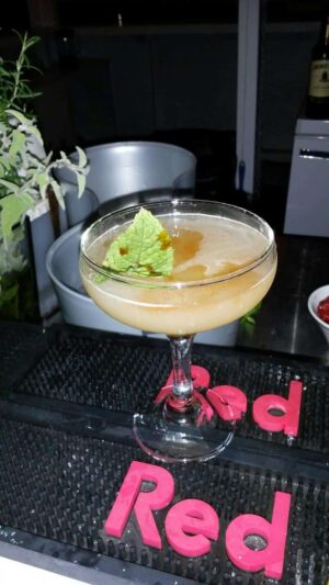 Bardon Lounge Bar