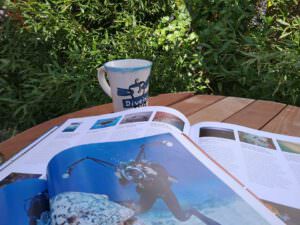 Skopelos Dive In 4