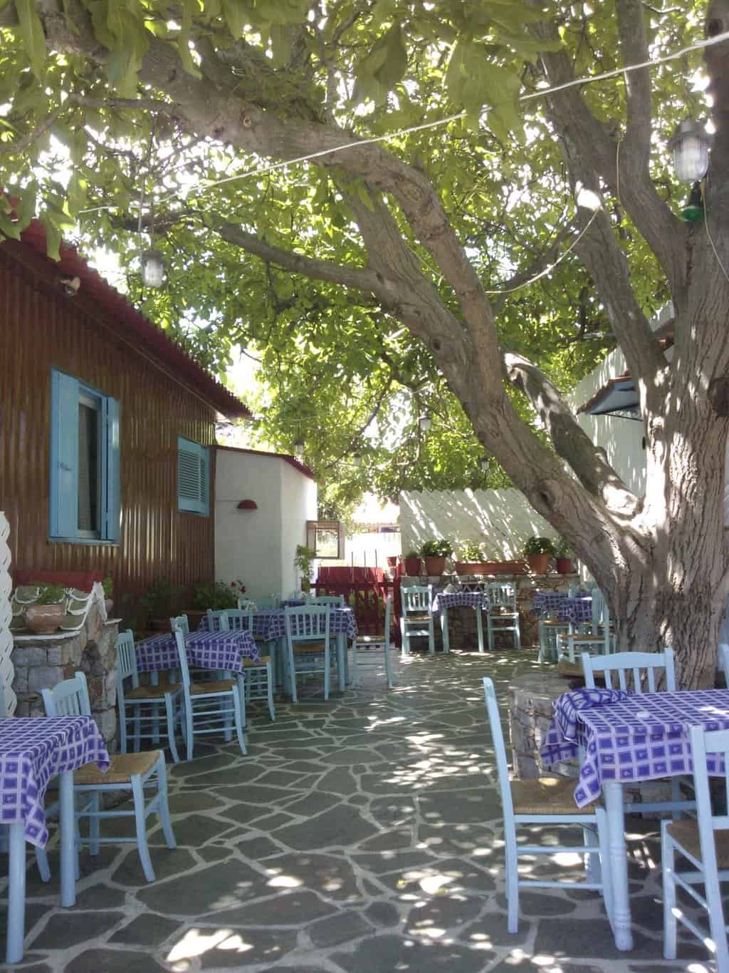 &Omicron;&upsilon;&zeta;&epsilon;&rho;ί &Kappa;&alpha;&rho;&upsilon;&delta;&iota;ά &Sigma;&kappa;ό&pi;&epsilon;&lambda;&omicron;&sigmaf;, &Kappa;&alpha;&rho;&upsilon;&delta;&iota;ά &Kappa;&alpha;&rho;&upsilon;&delta;&iota;ά &Chi;ώ&rho;&alpha; &Sigma;&kappa;&omicron;&pi;έ&lambda;&omicron;&upsilon;, &Phi;&alpha;&gamma;&eta;&tau;ό