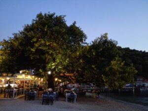Korali Restaurant