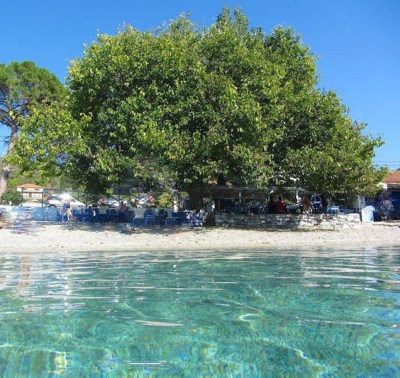 μουριά σκόπελος, ψαροταβέρνα σκόπελος, εστιατόρια και ταβέρνες σκόπελος, αγνώντας σκόπελος Μουριά Σκόπελος, Ψαροταβέρνα Εστιατόρια Και Ταβέρνες Αγνώντας