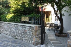 Olivo Restaurant