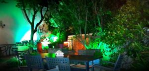 Olivo Restaurant
