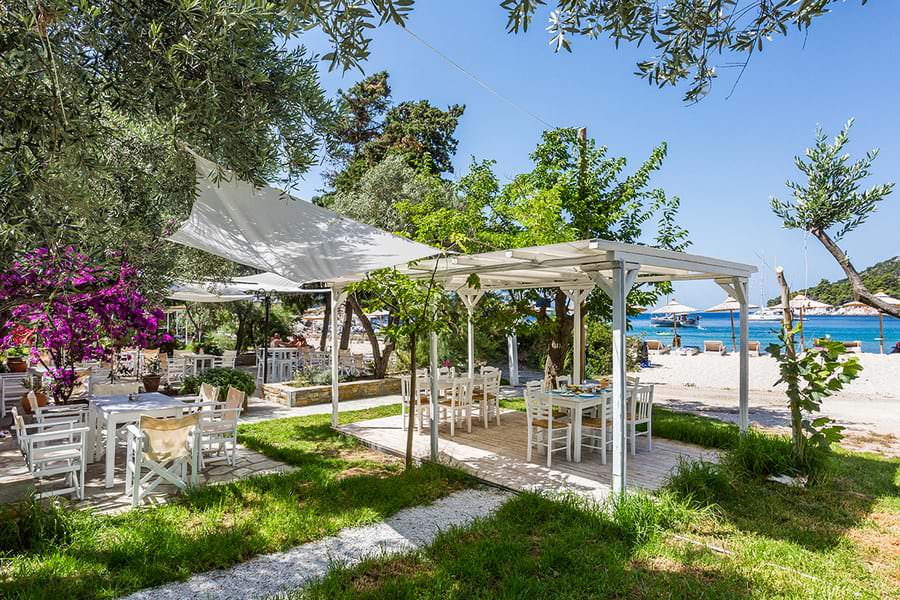 &Lambda;&iota;&mu;&nu;&omicron;&nu;ά&rho;&iota; &Tau;&alpha;&beta;έ&rho;&nu;&alpha; &Sigma;&kappa;ό&pi;&epsilon;&lambda;&omicron;&sigmaf;, &Lambda;&iota;&mu;&nu;&omicron;&nu;ά&rho;&iota; &Pi;&rho;&omega;&iota;&nu;ό &Sigma;&tau;&eta; &Sigma;&kappa;ό&pi;&epsilon;&lambda;&omicron;