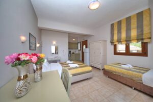 Skopelos Niki Apartments Panormos