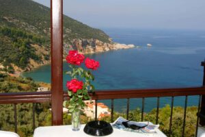 Sea View Studios