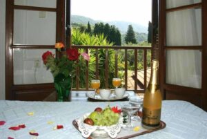 Skopelos Hotel Afrodite, Hotels, Hotels Aphrodite, Skopelos&nbsp;Afroditi Hotel, Panormos Beach, Sporades, Greece