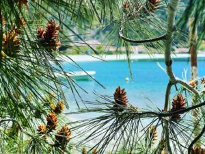 &Sigma;&kappa;ό&pi;&epsilon;&lambda;&omicron;&sigmaf; Ionisi On The Beach, Ionisi &Xi;&epsilon;&nu;&omicron;&delta;&omicron;&chi;&epsilon;ί&omicron;, &Xi;&epsilon;&nu;&omicron;&delta;&omicron;&chi;&epsilon;ί&alpha;, &Pi;ά&nu;&omicron;&rho;&mu;&omicron;&sigmaf;, Blue Green Bay, &Beta;ό&rho;&epsilon;&iota;&epsilon;&sigmaf; &Sigma;&pi;&omicron;&rho;ά&delta;&epsilon;&sigmaf;