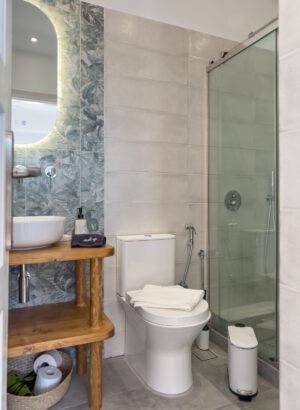 Skopelos Botanist Guest House Town