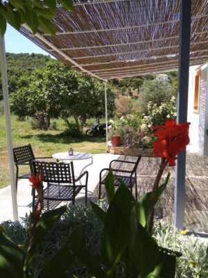 Skopelos Dafnes