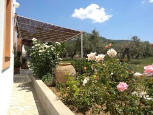 Skopelos Dafnes