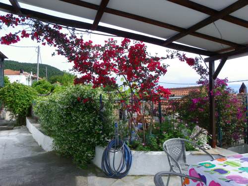 Green House (&Pi;&rho;ά&sigma;&iota;&nu;&omicron; &Sigma;&pi;ί&tau;&iota;)