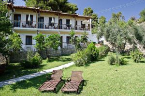 Skopelos Pine Trees Agnontas