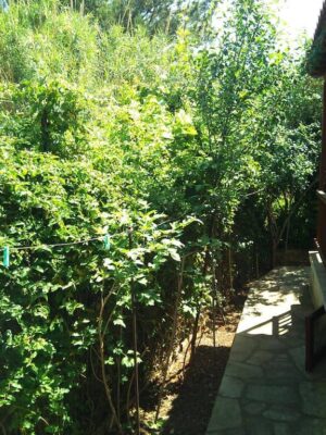 Kyriaki Guesthouse