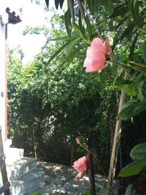 Kyriaki Guesthouse