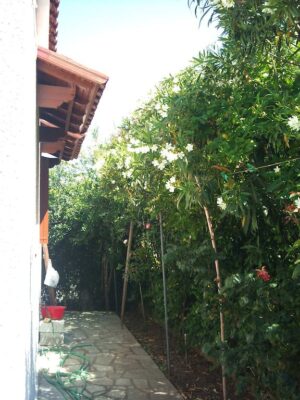 Kyriaki Guesthouse