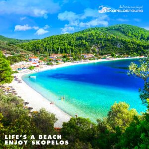 Skopeloscom Tours Tourist Office Travel Agency